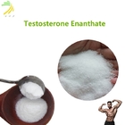 C26H40O3 Bodybuilding Testo Enanthate For Treatment Of Low Testo-sterone